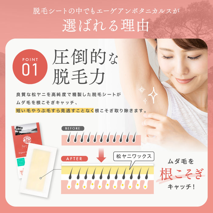 Aegean Botanicals オーガニック脱毛ワックスシート (Lサイズx32枚)