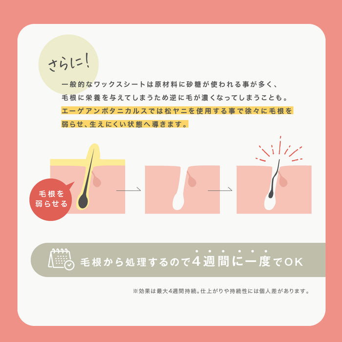 Aegean Botanicals オーガニック脱毛ワックスシート (Lサイズx32枚)